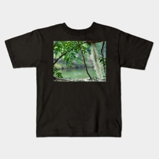 Chinaberry tree Kids T-Shirt